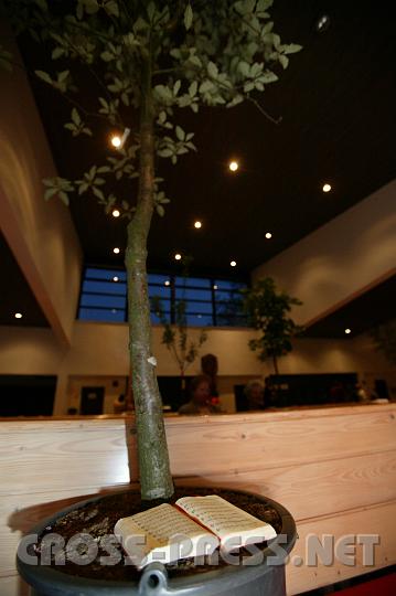 2008.05.30_21.19.55.JPG