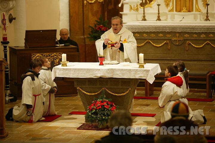 2009.01.28_19.19.50.jpg - Nach der Segnung der Gedenksttte fr zu frh und tot geborene Kinder hielt Pfarrer P.Michael Prinz fr sie einen Gottesdienst in der St.Veit-Kirche.