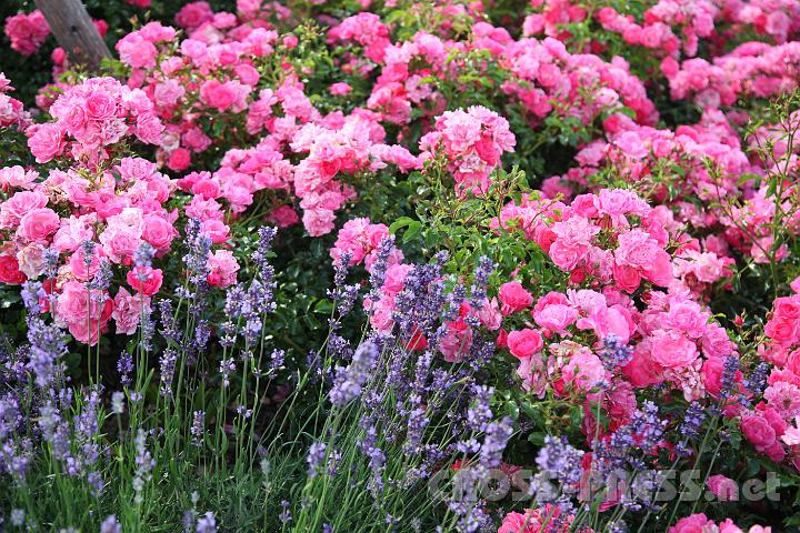 2013.06.30_18.04.36.jpg