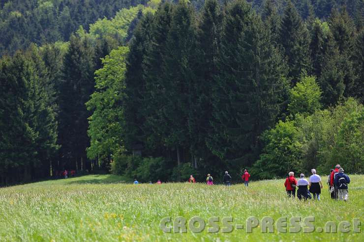 2014.05.04_12.24.03.jpg
