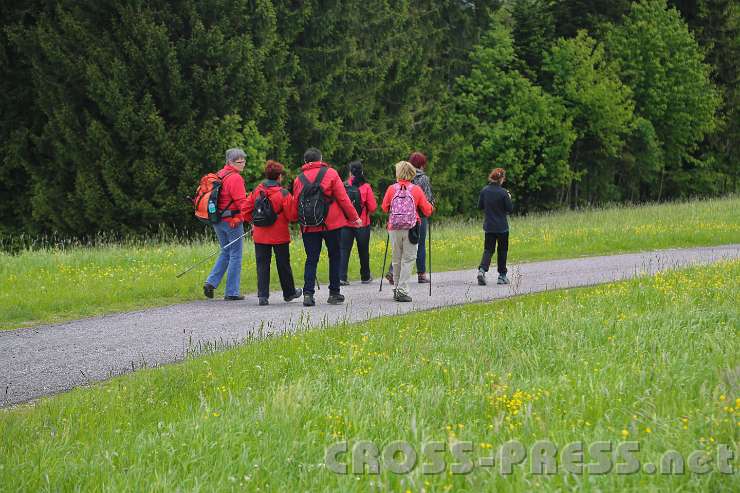 2014.05.04_11.32.39.jpg - Grün-rot-grün.  :)