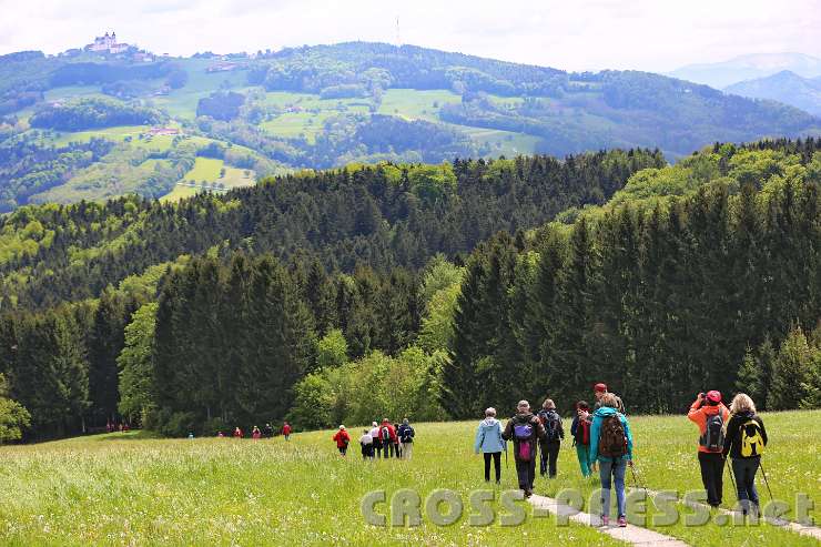 2014.05.04_12.23.53.jpg - Um hinauf, auf den Sonntagberg zu kommen, muss man einige Male auch herabsteigen.  ;)