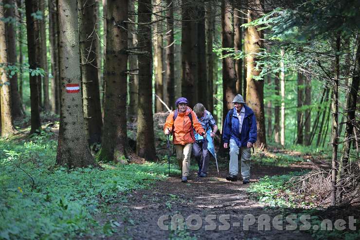 2014.05.04_12.37.11.jpg - Durch Wald und Gatsch.   ;)