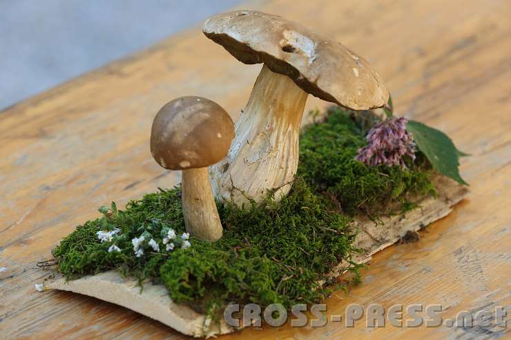 2014.09.06_15.41.27.jpg