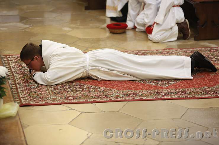 2015.11.28_10.41.24.JPG - Prostratio