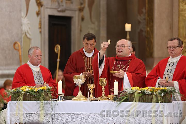 2013.05.20_11.50.05.jpg - Agnus Dei