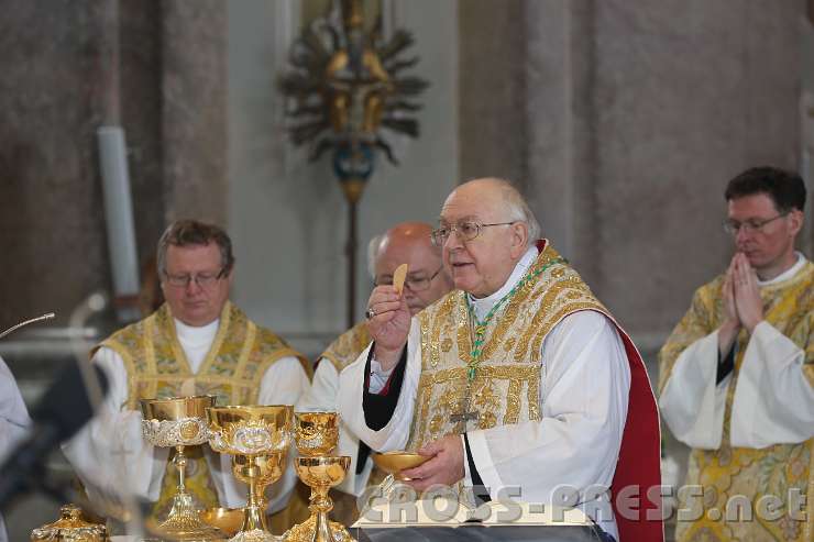 2014.06.15_11.21.11.jpg - Agnus Dei, qui tollis peccata mundi.
