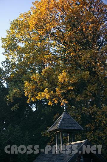 2008.10.26_16.54.49.JPG