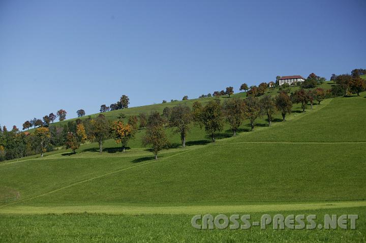 2008.10.05_11.52.21.JPG