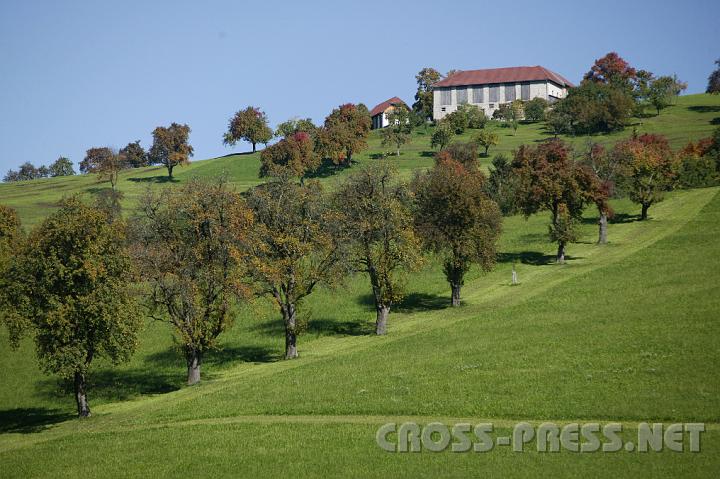 2008.10.05_11.52.28.JPG