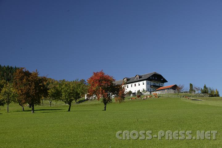 2008.10.05_14.05.15.JPG