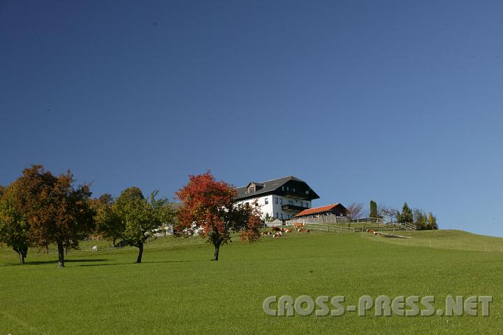 2008.10.05_14.05.42.JPG