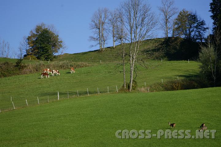 2008.10.05_16.52.52.JPG