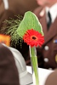 2012.05.06_09.26.44