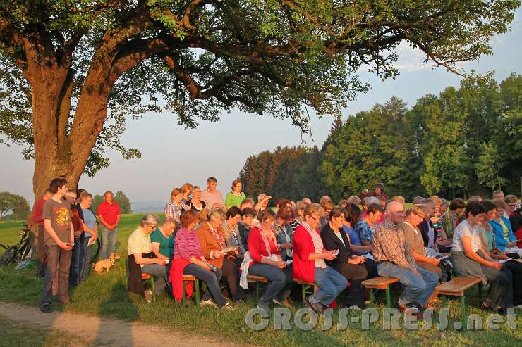 2015.05.13_19.38.15.JPG - Im Licht der Abendsonne.