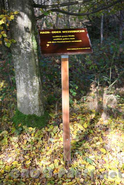 2015.10.26_13.20.16.JPG