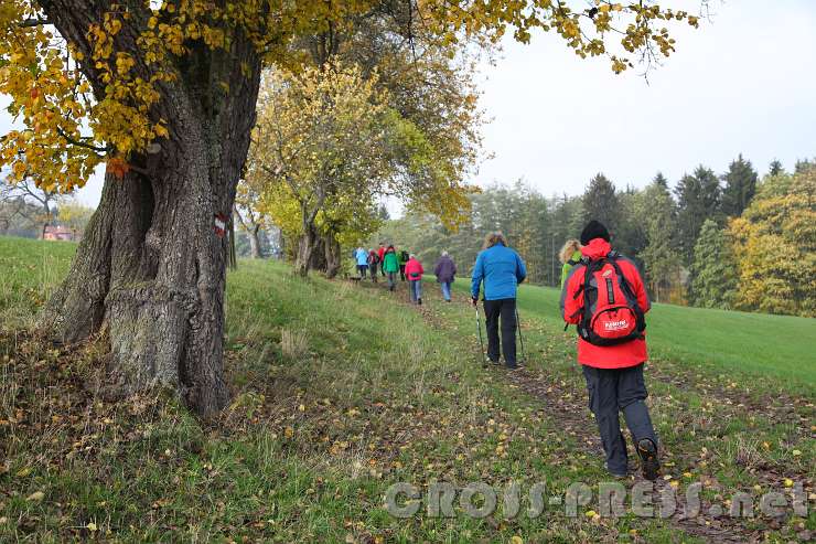 2015.10.26_11.22.43.JPG