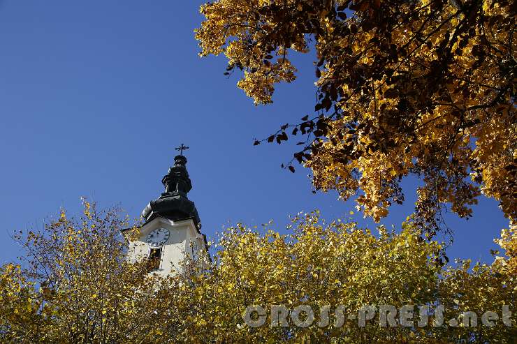 2015.11.01_11.46.42.JPG