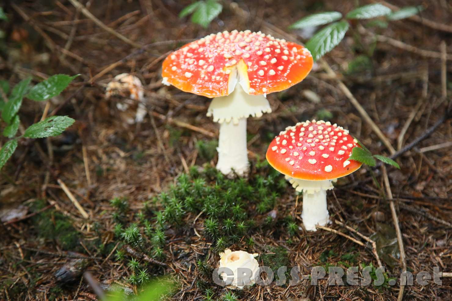 2016.10.26_12.17.45.JPG