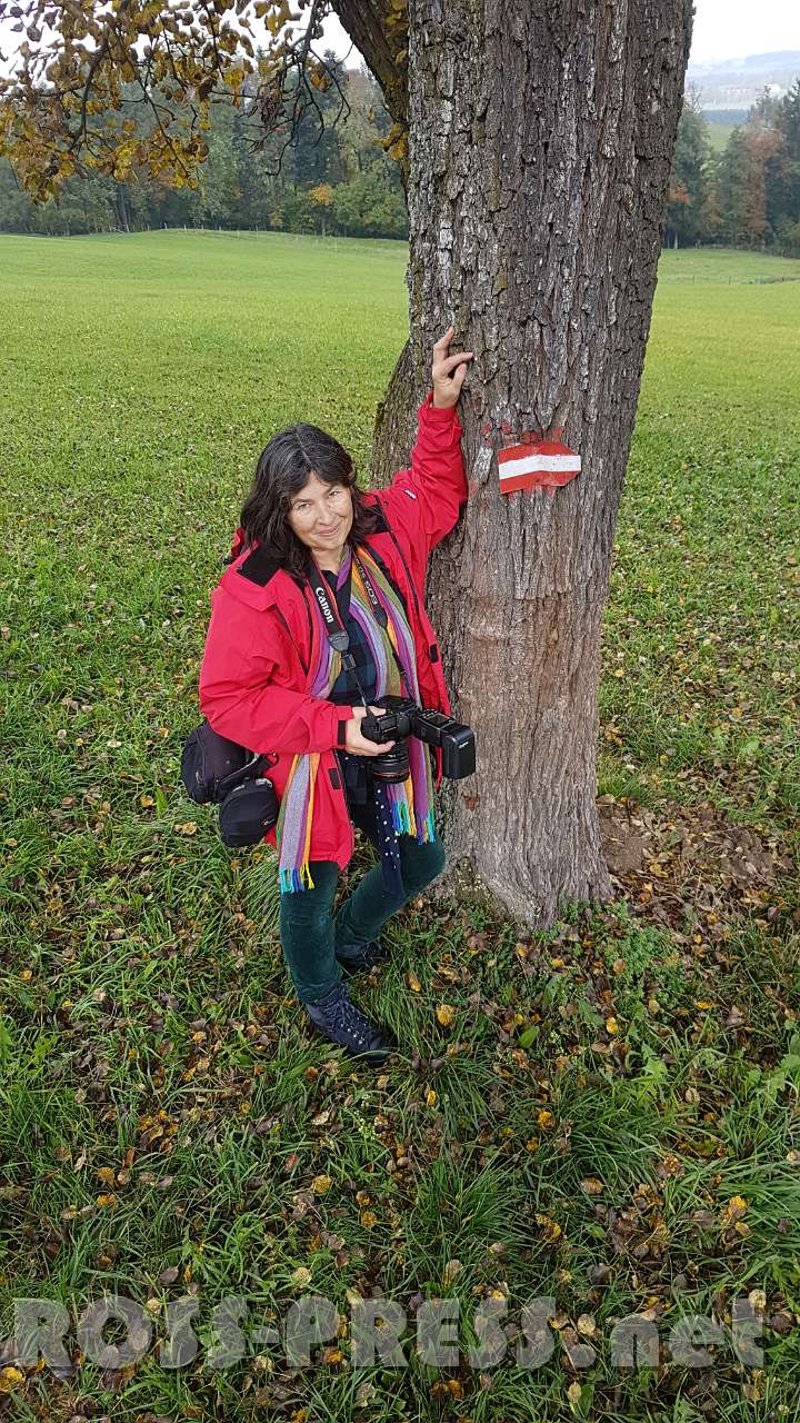 2016.10.26_12.30.56.jpg