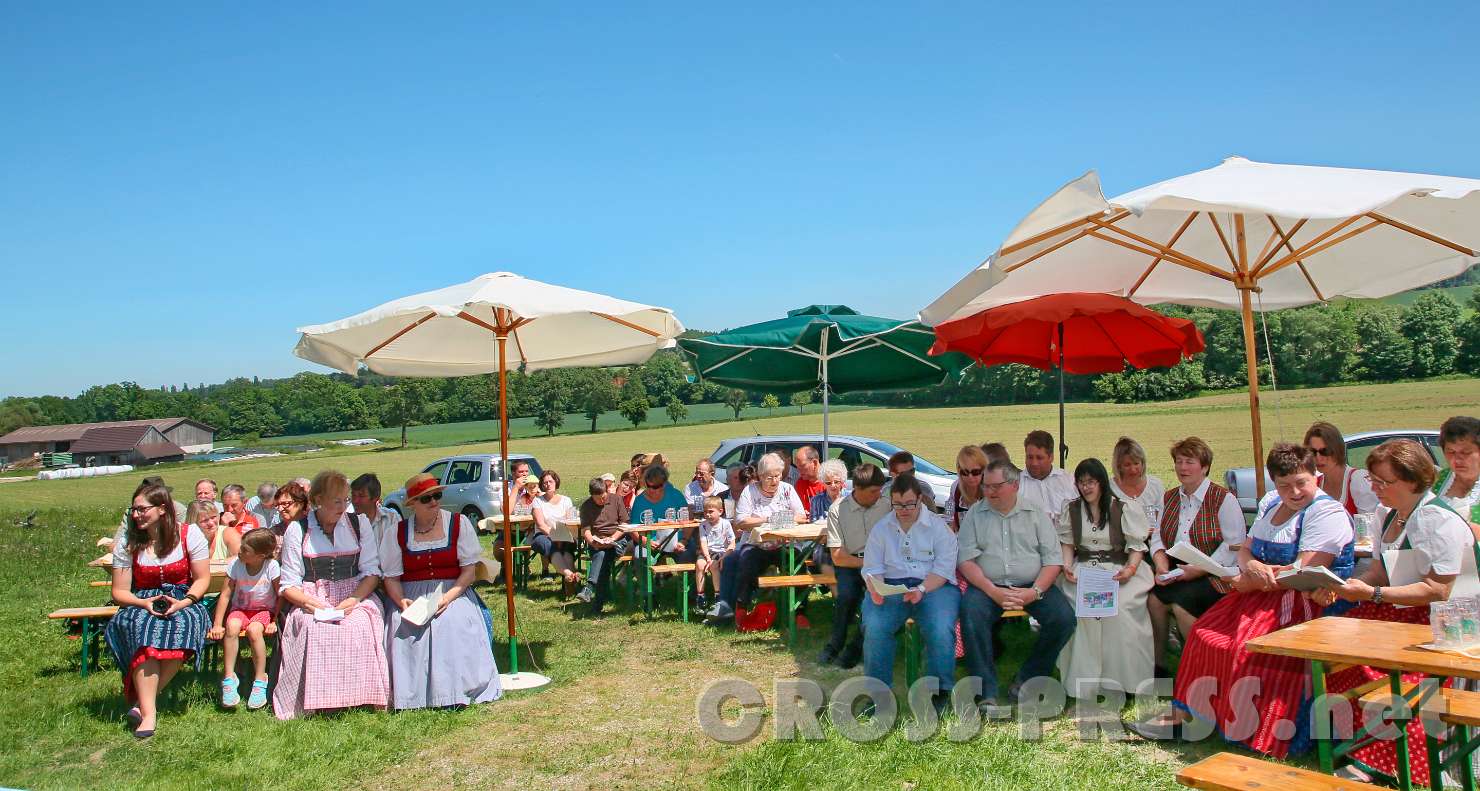 2017.05.28_14.20.18.jpg - Blick Richtung Prehofer (Fam. Haas)