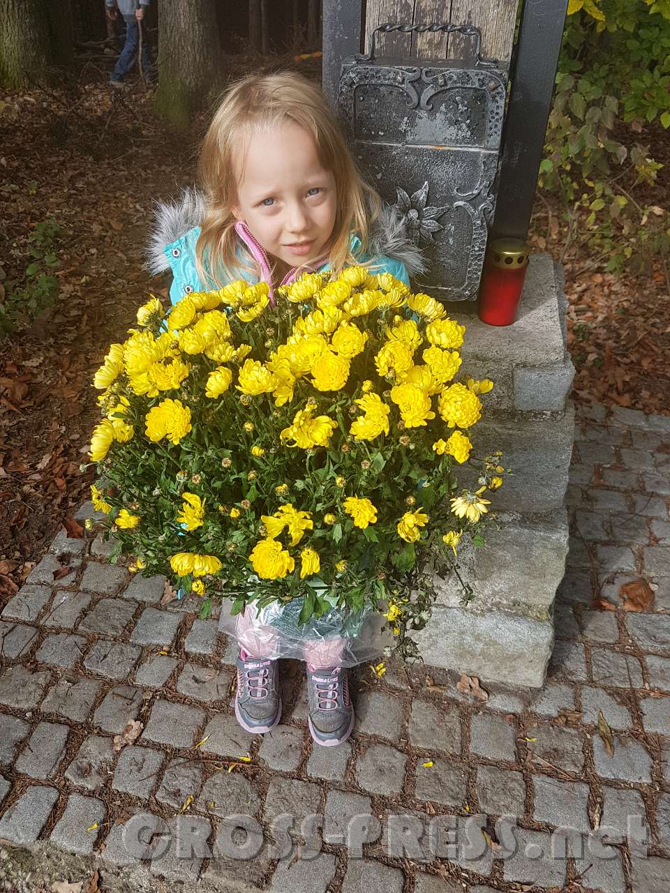 2017.10.26_12.18.00.jpg