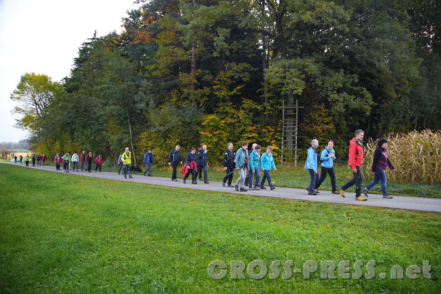 2017.10.26_09.46.03.jpg - ... vorbei am Bannholz.