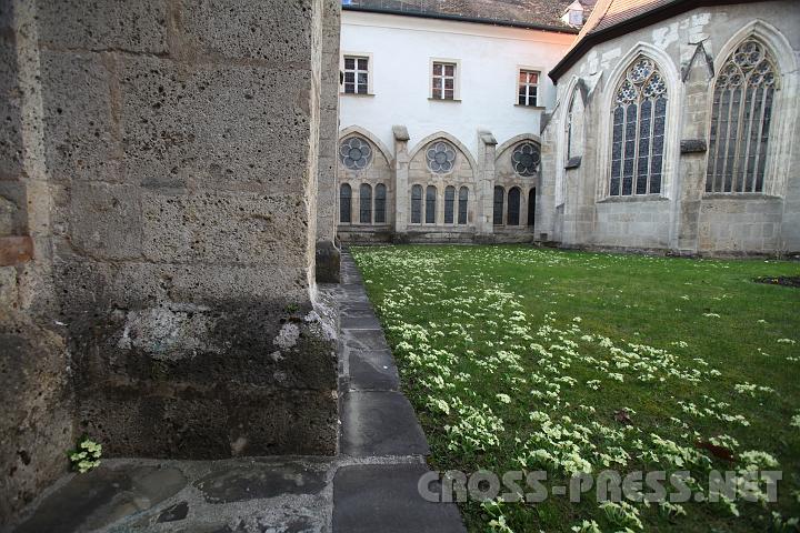 2009.04.08_07.55.23.jpg - Im Kloster blhen selbst die Steine :)))