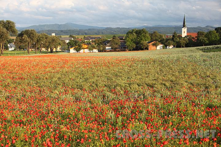 2009.06.11_19.46.00.jpg