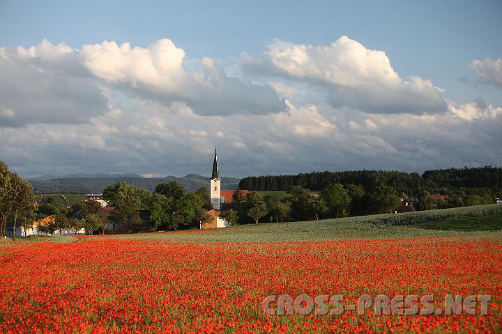2009.06.11_19.56.01.jpg