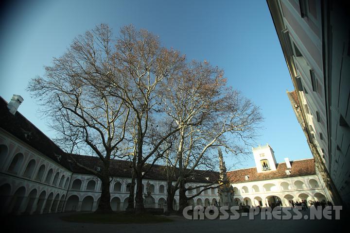 2009.11.21_14.26.12.jpg