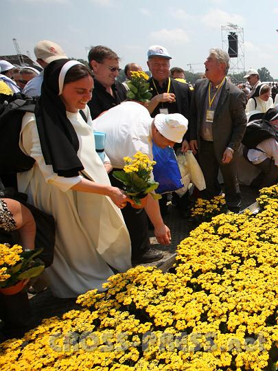 2011.06.05_12.46.44.jpg