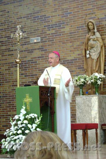 2011.08.16_04.10.03.jpg - "In Christus verwurzelt" war das Thema der Katechese von Kardinal Meisner in Madrid.  "Umso höher der Baum wächst", sagte er in Anspielung an uns Jugendliche, "desto tiefer müssen seine Wurzeln sein".