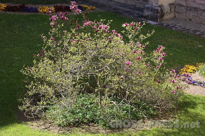 2012.04.27_16.02.27.jpg