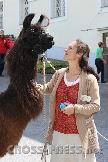 2013.05.04_13.24.19.jpg