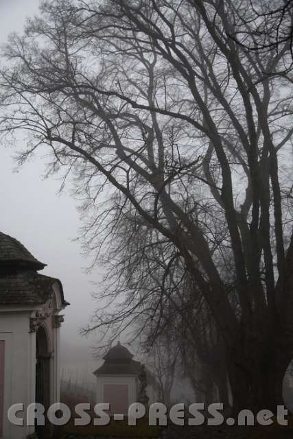 2014.01.18_15.24.42.jpg