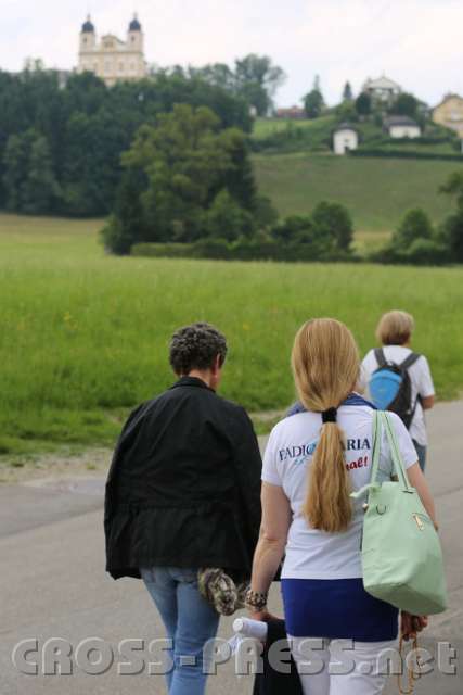 2014.06.13_16.20.53_02.jpg