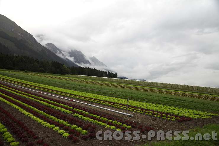2014.09.13_16.39.32.jpg