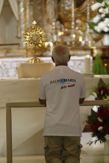 Radio Maria Austria - 17. JahresWallfahrt Ein Geheimnis des Rosenkranzes betete Christoph Hochleitner.