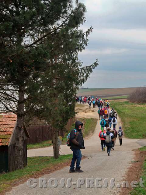 2016.03.13_11.38.37.JPG