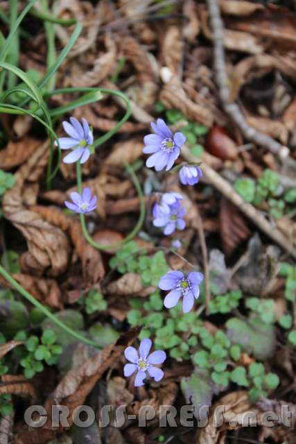 2016.03.13_12.01.19.JPG