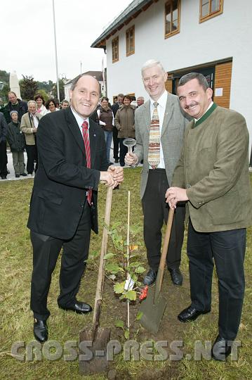 2008.09.21_11.51.12.JPG - Pflanzen eine "sterreichische Mehlbeere" vor dem renovierten Pfarrheim: LR Mag. Wolfgang Sobotka, Pfarrkirchenrat Johann Geiblinger, der den Bau managte, und Bgm. Manfred Schimpl.