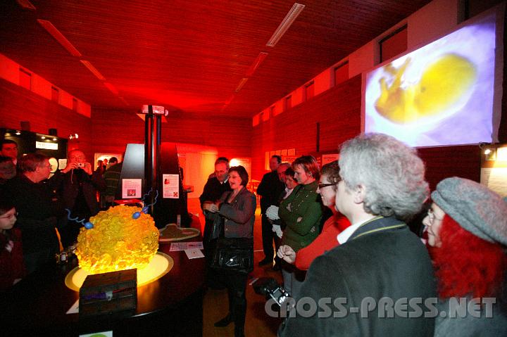 2009.01.11_16.16.24.JPG
