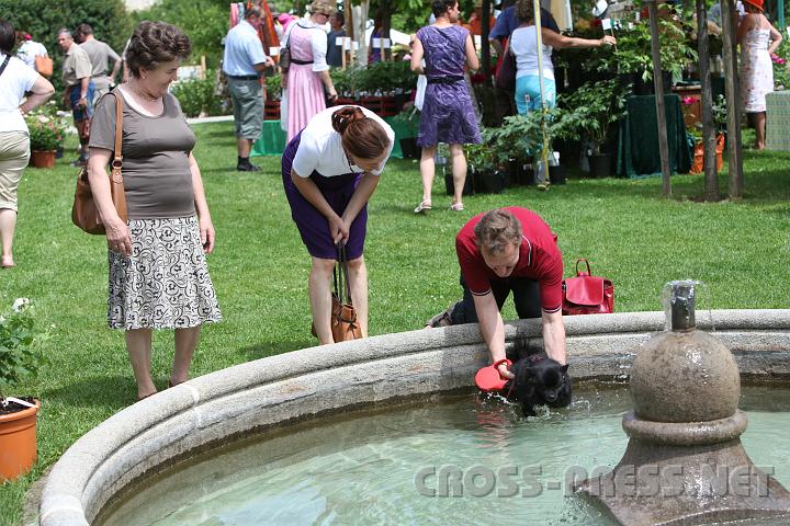 2010.06.11_13.46.28.jpg