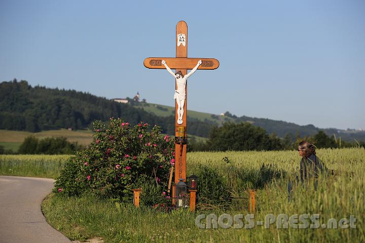 2012.06.16_06.57.58.jpg