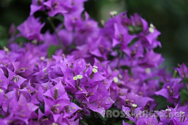2012.06.16_07.19.47.jpg