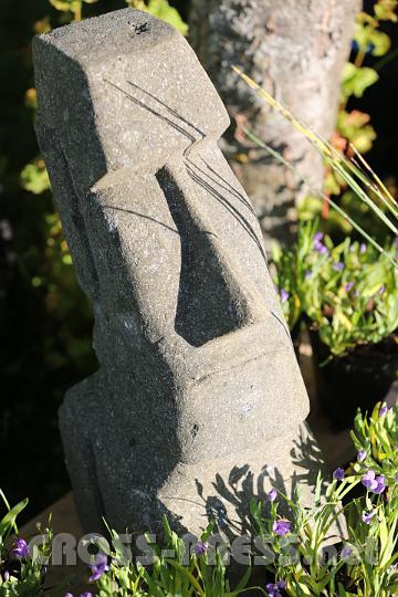2012.06.16_07.26.34.jpg