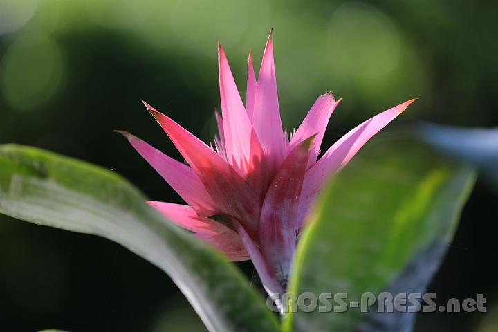 2012.06.16_07.28.25.jpg