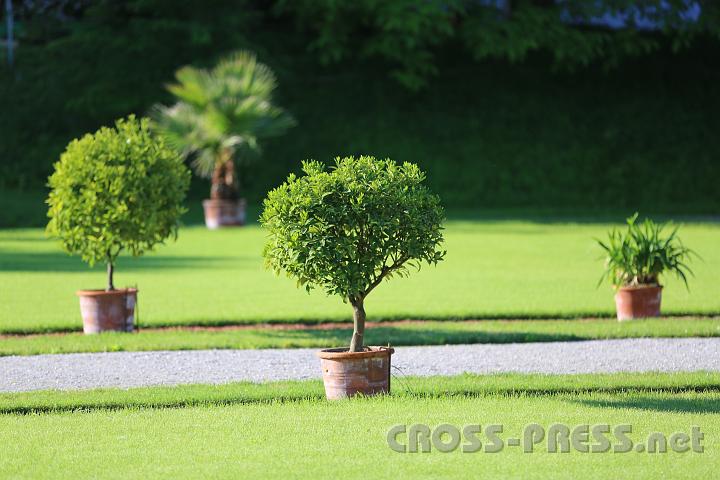 2012.06.16_07.36.15.jpg