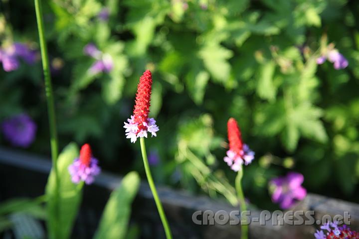 2012.06.17_18.09.27.jpg
